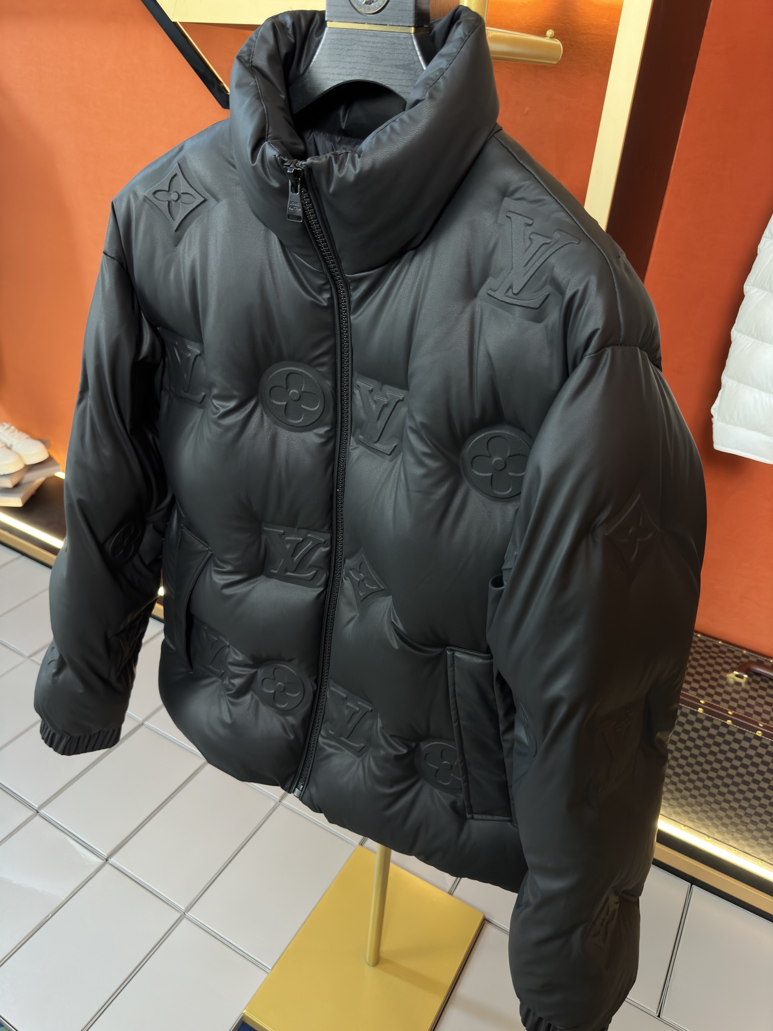 Louis Vuitton Down Jackets